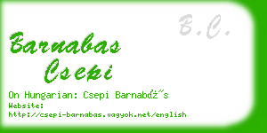 barnabas csepi business card